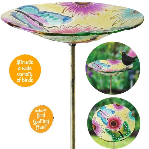 Glass bird bath - 🔥glass,