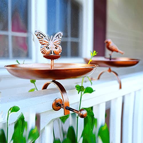 Gardening products less bird - 4,