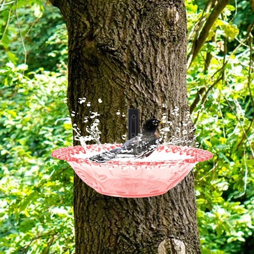 Outdoor bird bath - bird,