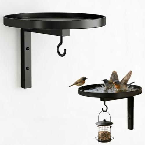 Black iron wall mounted - wall, bird