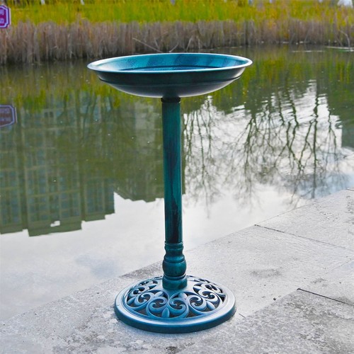 Outdoor patio garden - patio, bird