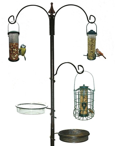 New traditional bird feeding - traditional,
