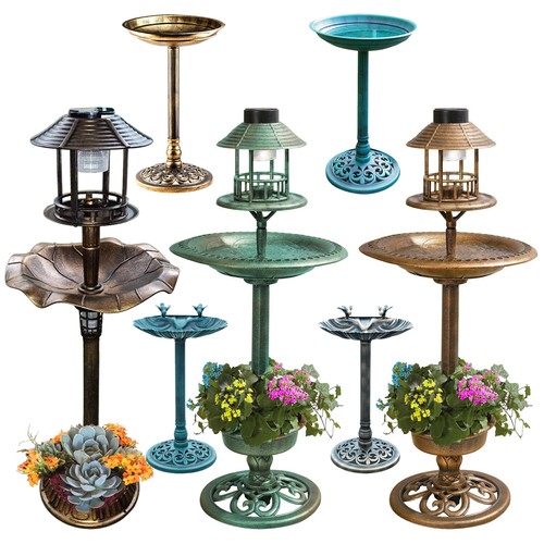 Bird bath feeder bowl - bird,