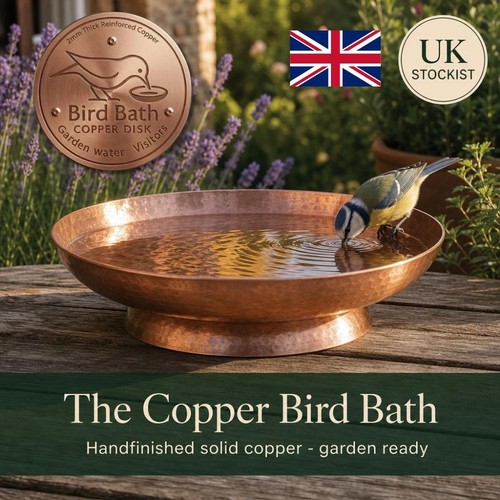 Bird bath copper disk - bird,