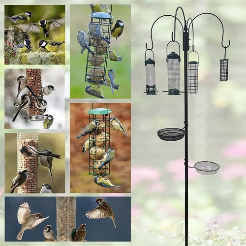 Wild bird garden - wild,