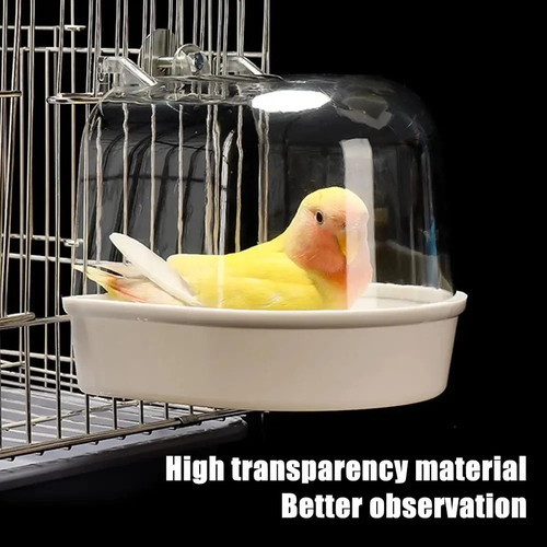 Classic caged bird - bath, aviary