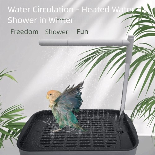 Automatic parrot bird - automatic, tub