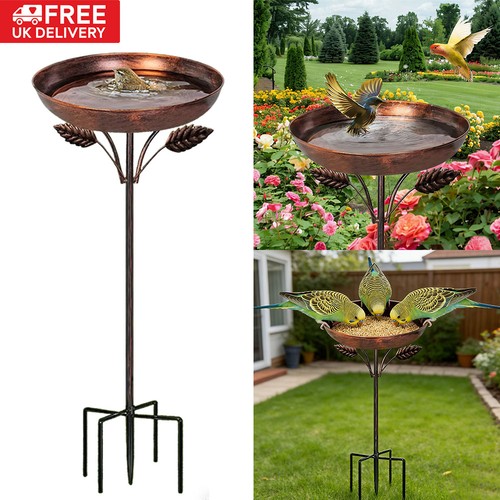 Outdoor patio garden bird - outdoor,