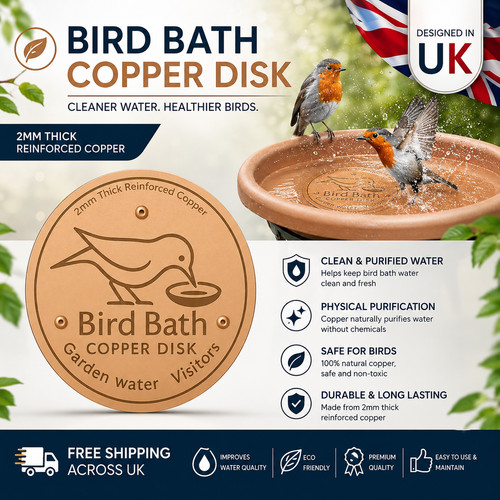 Bird bath copper - bird, for