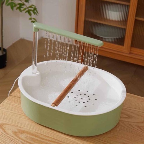 Automatic bird bathtub parrot - bird,