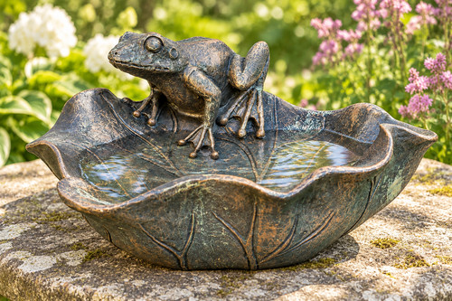 Frog leaf bird feeder - frog,