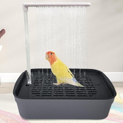 New automatic parrot - bird, bath